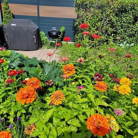 Souterrainwohnung Apartman *