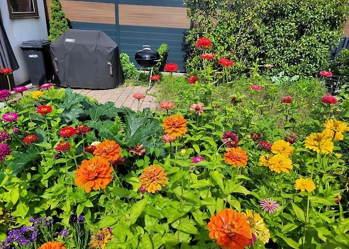 Souterrainwohnung Apartamento *